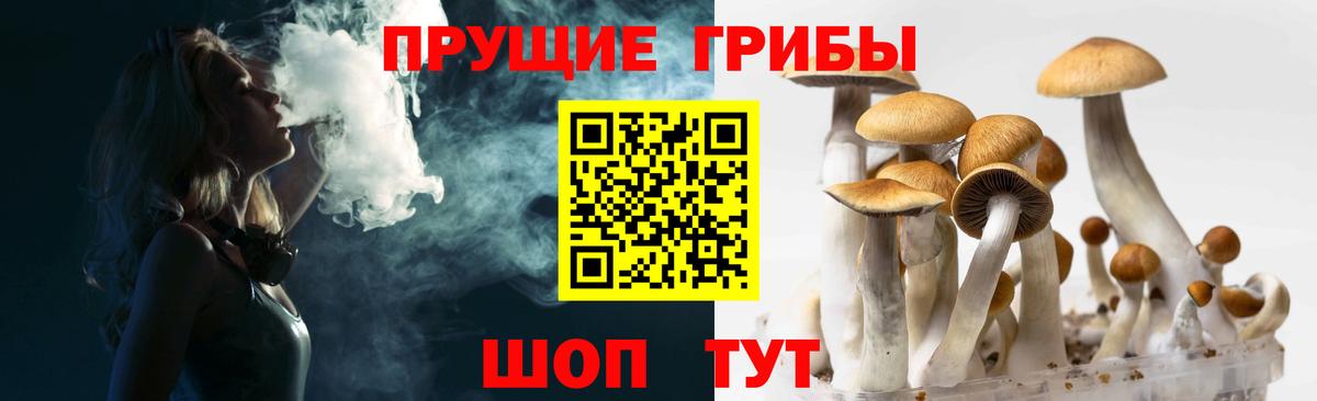 Галлюциногенные грибы Psilocybe  Вход с VPN  Псилоцибиновые грибы GOLDEN TEACHER  Шумерля 